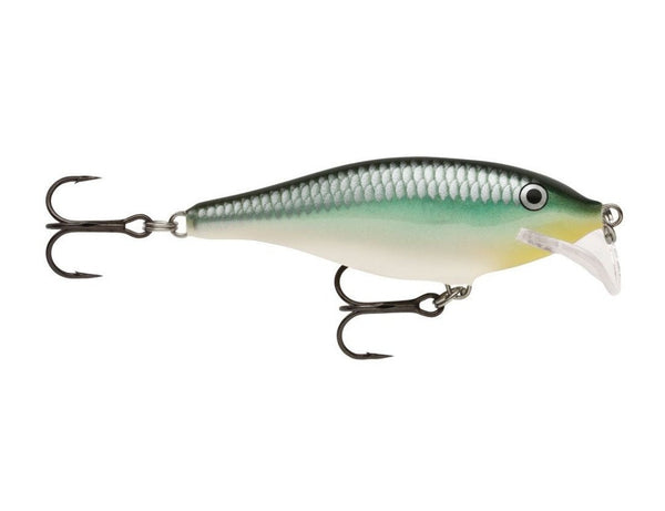 Scatter Rap Shad