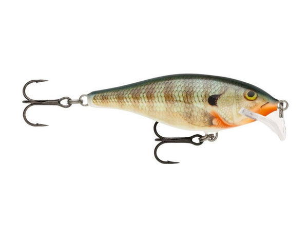 Scatter Rap Shad