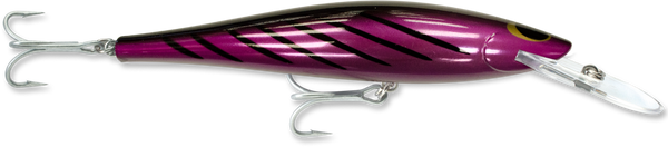 Speed Pro