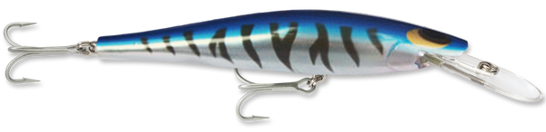 Speed Pro